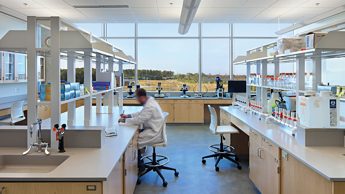 top-lab-sm-01-1200x675