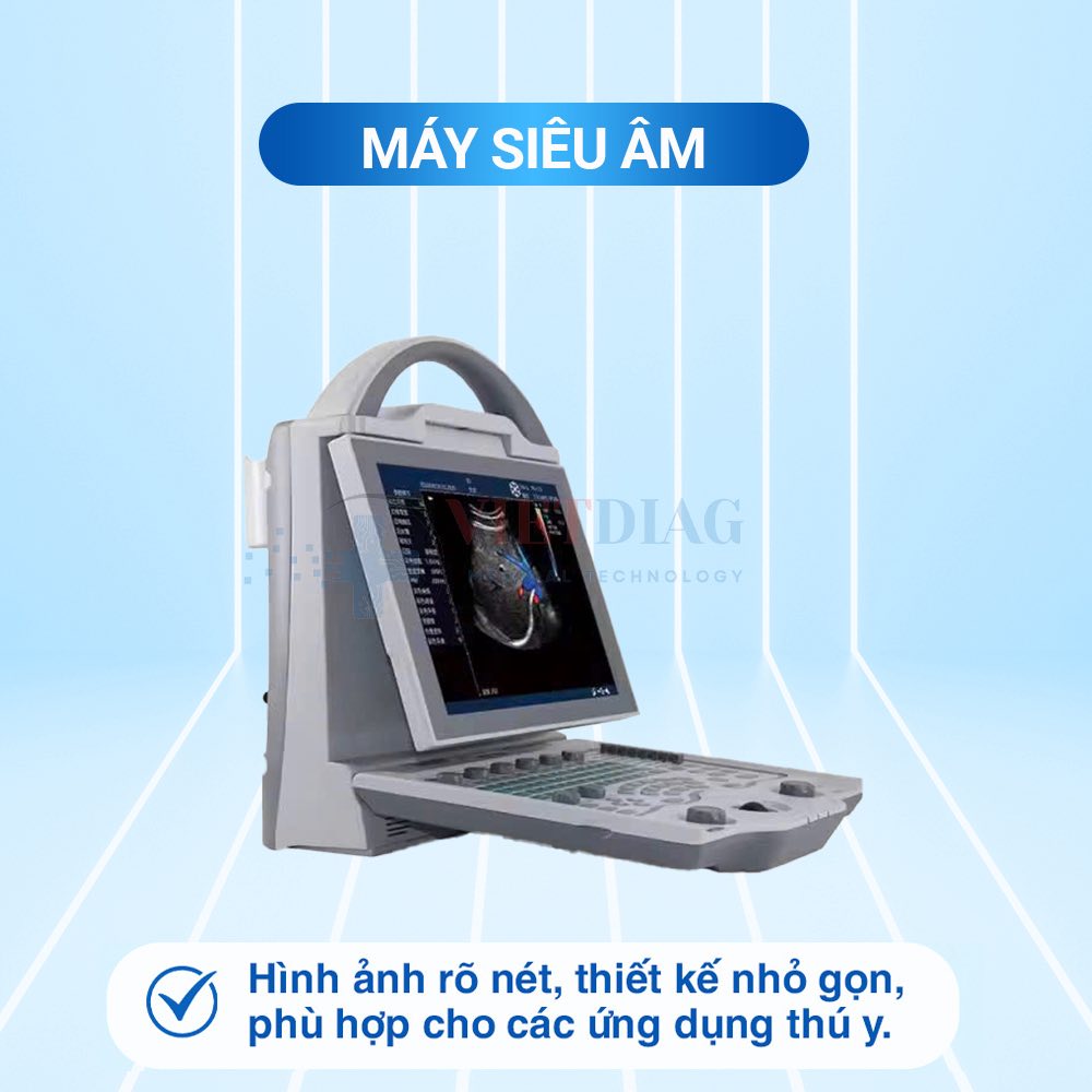 537906234_122112862160966587_2060651615707641917_n