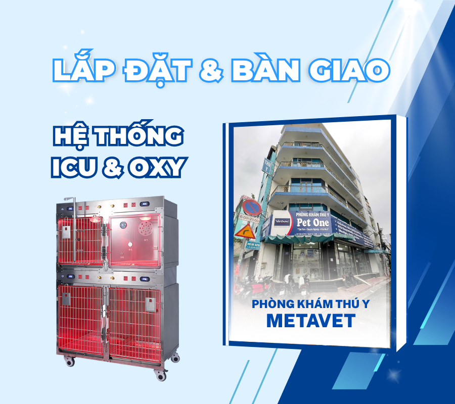 lắp đặt & bàn giao