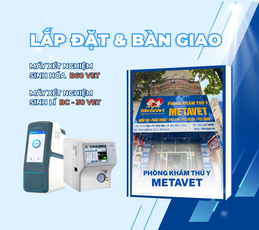 lắp đặt và bàn giao