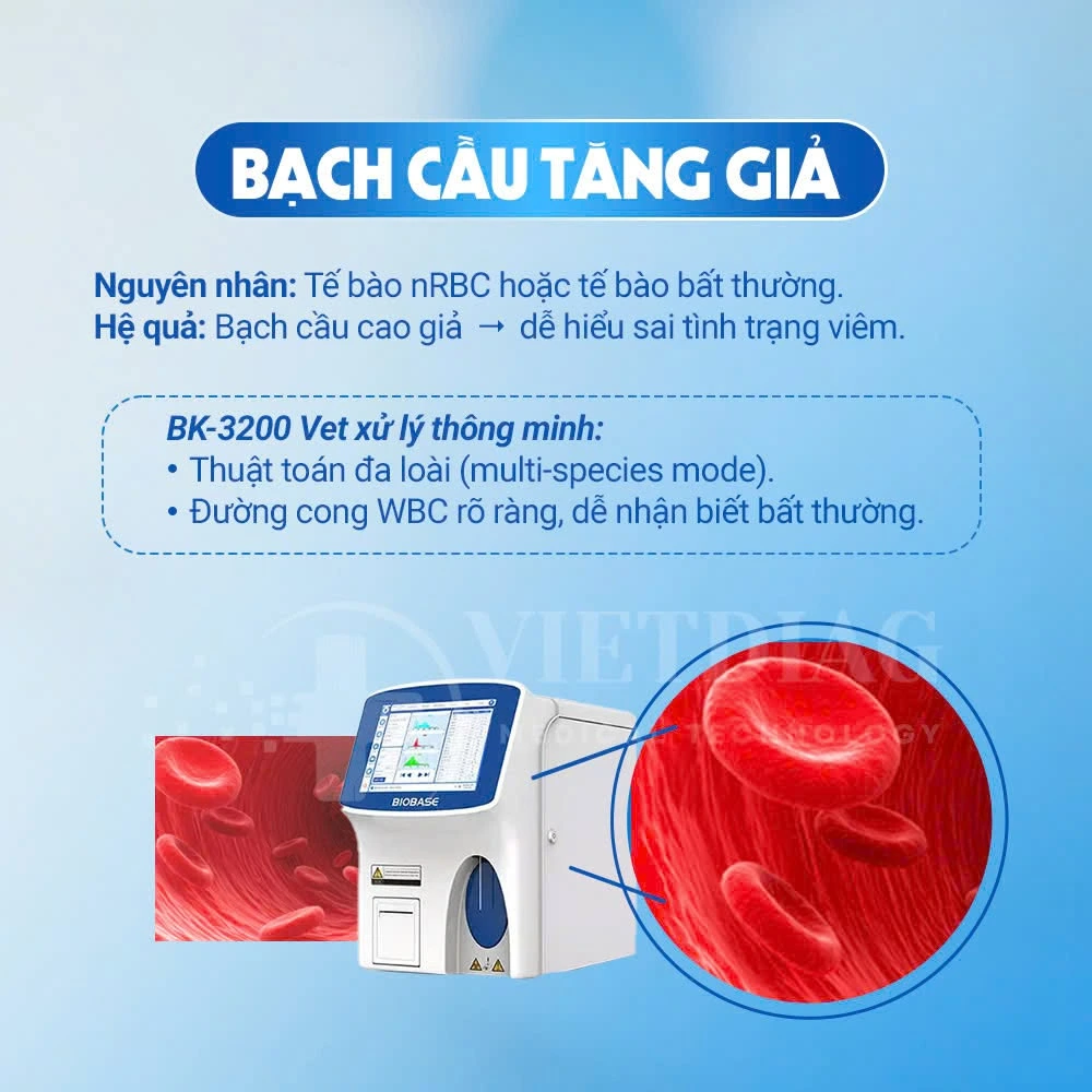 Bạch cầu tăng giả do nRBC hoặc tế bào bất thường và cách BK-3200 Vet xử lý