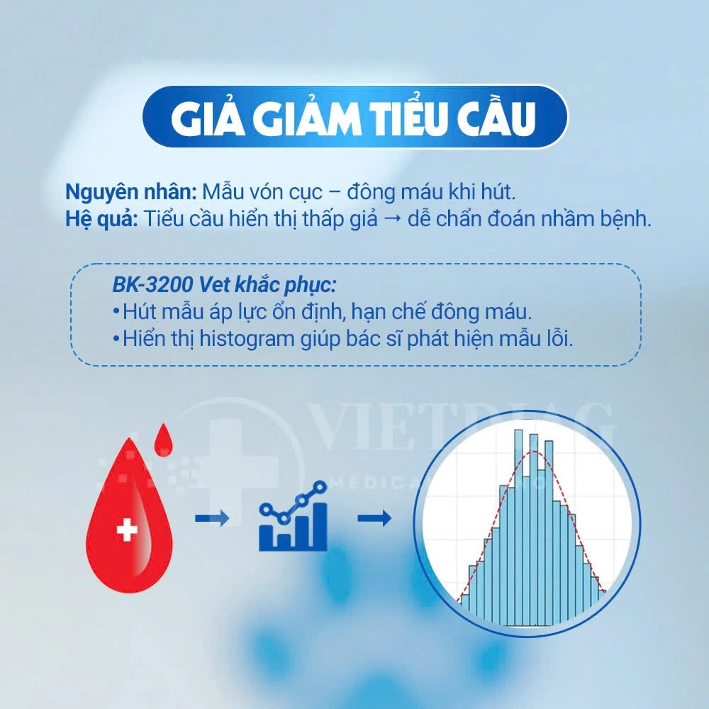 Giả giảm tiểu cầu: nguyên nhân do vón cục, đông mẫu và cách BK-3200 Vet khắc phục