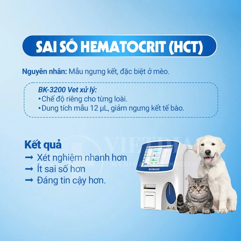 Sai số Hematocrit ở mèo và cách BK-3200 Vet giảm ngưng kết hồng cầu