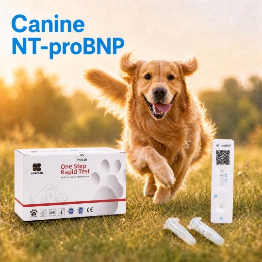 Bộ xét nghiệm nhanh Canine NT-proBNP