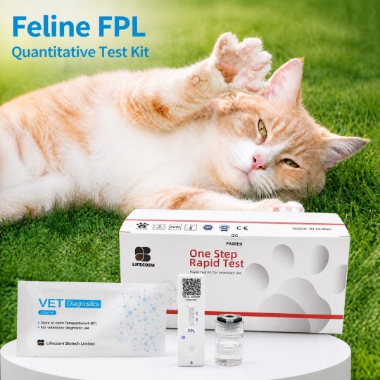 Bộ xét nghiệm định lượng lipase tụy ở mèo fPL