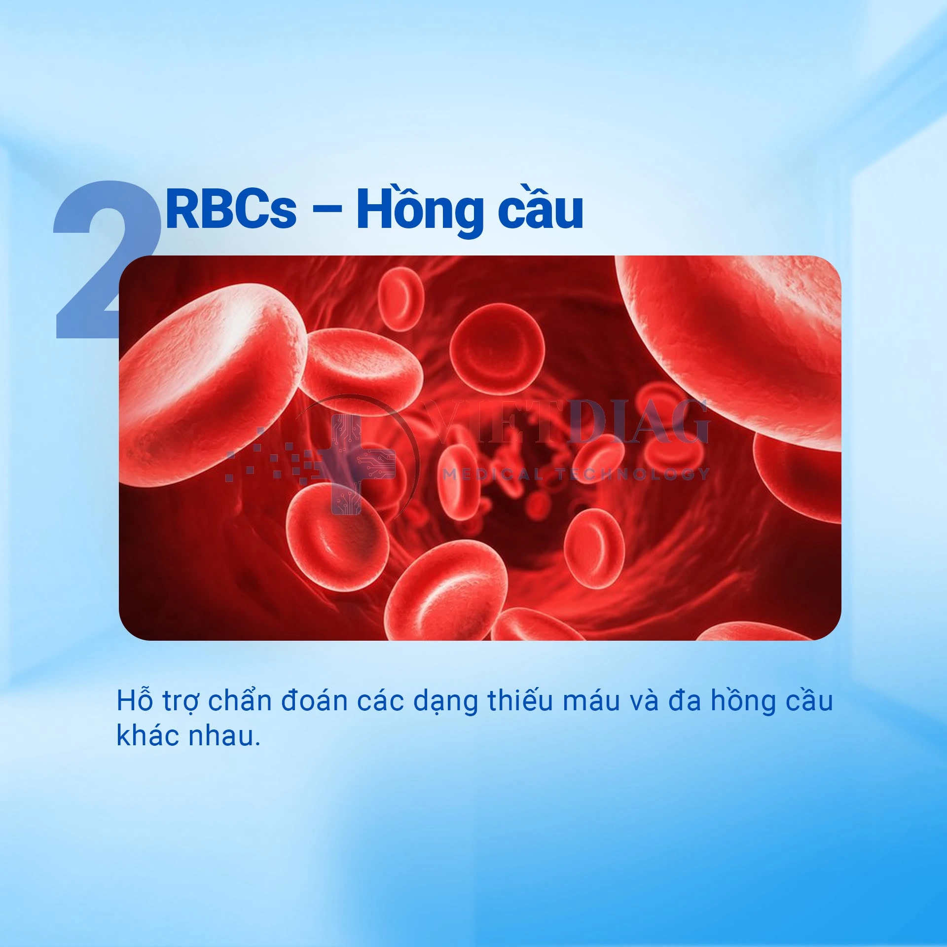Hồng cầu (RBC) – hỗ trợ chẩn đoán các dạng thiếu máu và đa hồng cầu