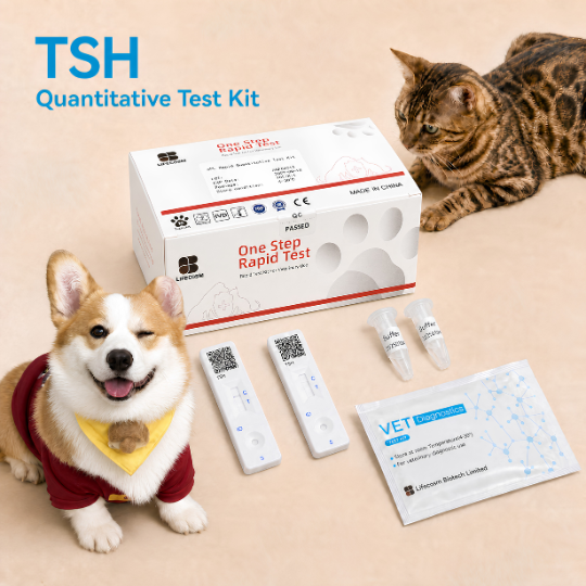 Bộ xét nghiệm định lượng Hormone kích thích tuyến giáp TSH
