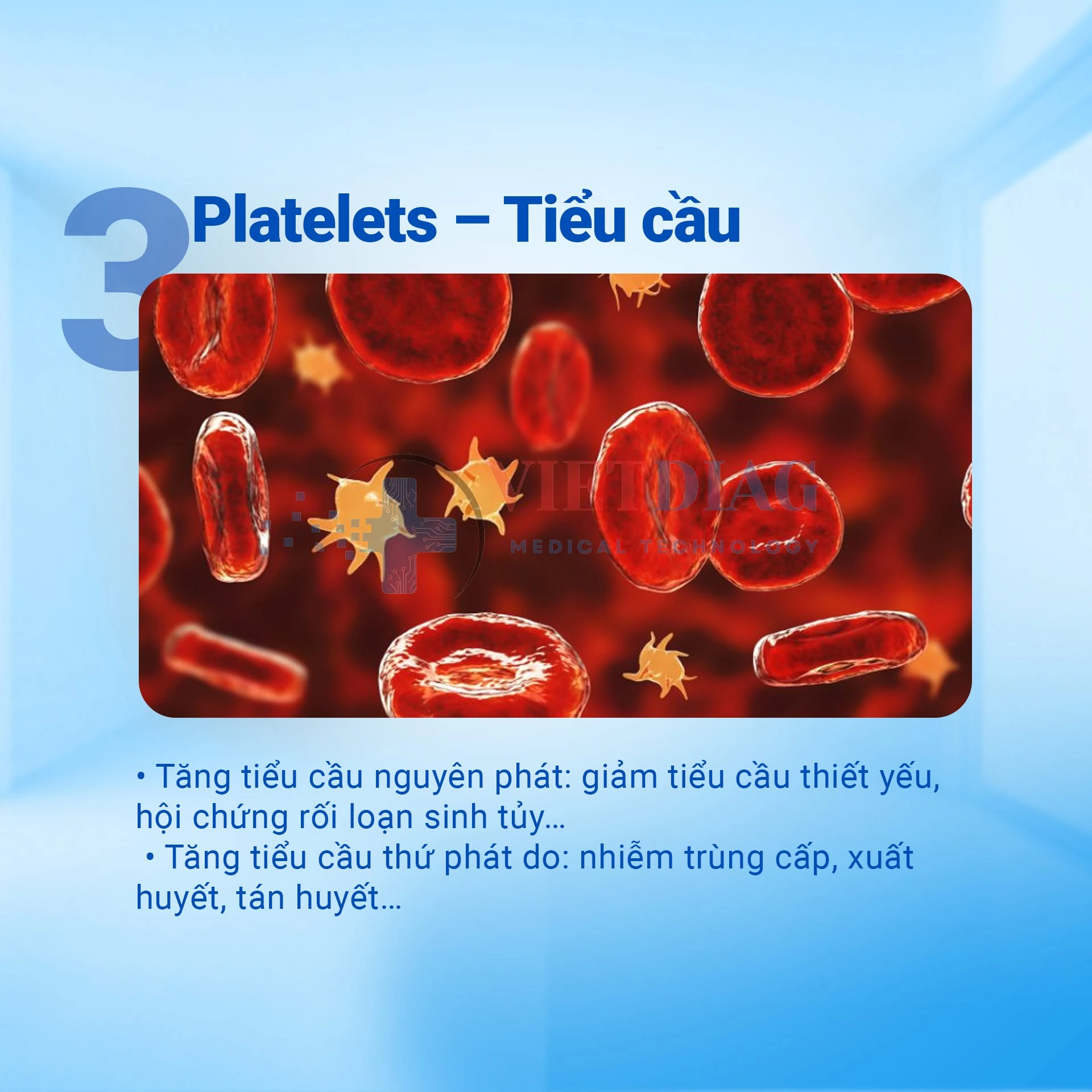 Tiểu cầu (Platelets) – hỗ trợ chẩn đoán tăng tiểu cầu nguyên phát và thứ phát