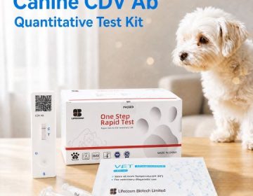 Bộ xét nghiệm Canine CDV Ab | Test kháng thể Care ở chó
