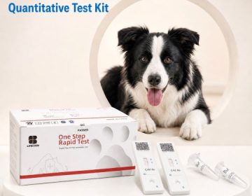 Bộ xét nghiệm kháng thể adenovirus ở chó