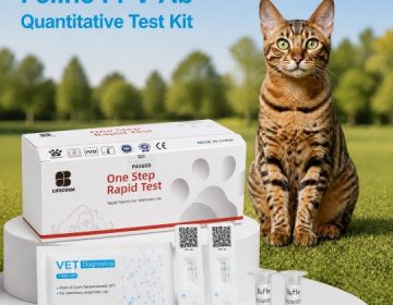 Bộ xét nghiệm định lượng kháng thể FPV ở mèo