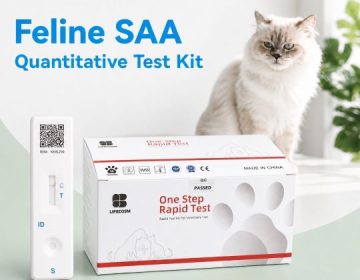 Bộ xét nghiệm định lượng Protein  Amyloid A huyết thanh ở mèo fSAA