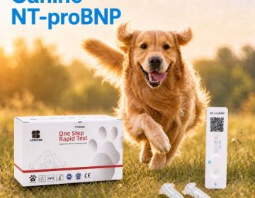 Bộ xét nghiệm nhanh Canine NT-proBNP