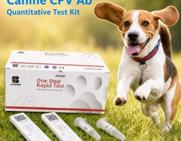 Bộ xét nghiệm nhanh kháng thể việm ruột truyền nhiễm ở chó Canine CPV Ab