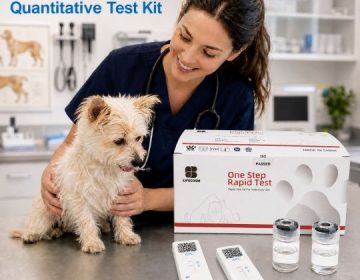 Bộ xét nghiệm định lượng Canine cPL