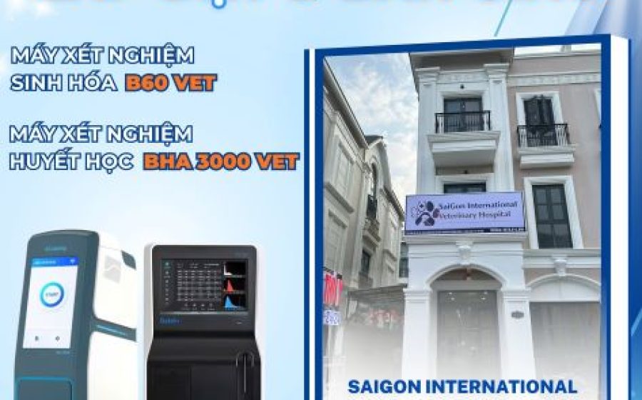 Bàn giao hệ thống sinh hóa và huyết học thú y | VietDiag